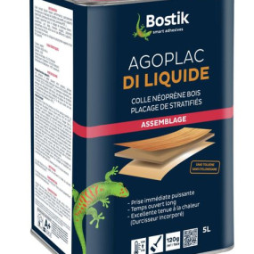 30604787 AGOPLAC DI LIQUIDE  1L