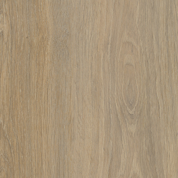 AGGLOMERE MELAMINE POLYREY TENDANCE BOIS BOULEAU ARGENTE B131 LEG 2800X2070MM 19MM 835372